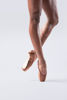 Picture of Studios Professional Hard Adult