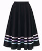 Picture of Character Skirt Adult