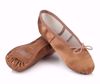 Picture of Satin Aspire Ballet Shoes Adult