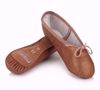 Picture of Leather Aspire Ballet Shoe Junior
